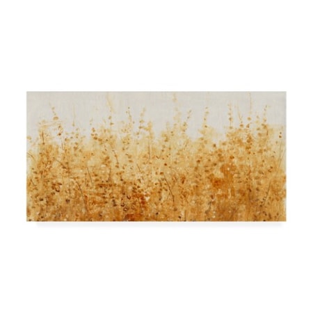 Tim Otoole 'Ochre Fields I' Canvas Art,10x19